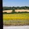 The Woodland Collection, 10 mins from beaches
