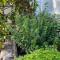 Large, quiet and centrally located apartment