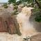 Khajuraho Dreams Homestay