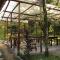 Sabalo Lodge Tours and Cabins