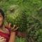 Sabalo Lodge Tours and Cabins