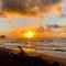 Islander on the Beach 354