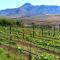 At Meerkat and Rehoboth Self Catering Lodges, Clarens