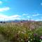 At Meerkat and Rehoboth Self Catering Lodges, Clarens