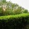 Charming villa in Alvignano with private pool - Alvignano