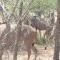 Stoep At Kruger