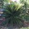 Holiday home in Klimno - Insel Krk 42238