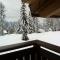 Chalet Faschingalm