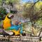 Cango Retreat Lovers nest