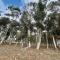 Living The Breede - Inhoek Farm Gatehouse