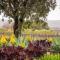 Linger Longer Vineyard