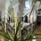 Riad Elias & Spa