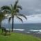 Princeville Sealodge Unit D-4 - برينسفيل