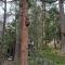 CASA de los ARBOLES! Delight & Solitude Abound!