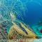 Magic Oceans Dive Resort