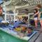 The Oia Pai Resort