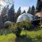 Ajara Glamping Kokotauri