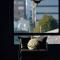 Seaport Apartments Rivadavia I