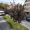 Apartment IG4U, City center