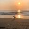 Finecamp Guesthouse and Surf