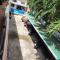 Happy Valley Pattaya