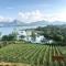 Vallonne Vineyards