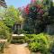 Wild Fig Guesthouse