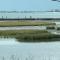 Hannahs Hideaway First row beautiful gulf views!!