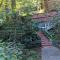 Tasteful Home with Stunning River and Valley View - Monte Rio