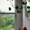 Mesa Bus - Deluxe Byron Hinterland Eco Stay