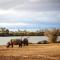 Inverdoorn Game Reserve Lodge