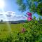 Au Pied Du Trieu, the glamping experience