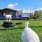 Glen Roe - 3 Bed Lodge on Friendly Farm Stay with Private Hot Tub - New Cumnock