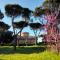 ZÍ MARIO Suite degli Ospiti - Roma Ostia Antica