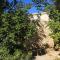 Seaside holiday house Cove Rogacic, Vis - 8887