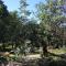 Seaside holiday house Cove Rogacic, Vis - 8887