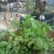 44 on Ennis Guest Lodge and Restaurant - NO LOAD SHEDDDING - Ermelo