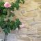 Mazet Magnan, Rustic Luxury in Provence
