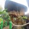 Pondok Salacca#bamboohouse#