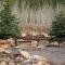 Yellowstone Escapes, Sleeps 15, Hot Tub - Island Park