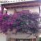 Mediterranean house, pool, beach and charm garden - Arenys de Mar