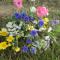 Boerderijcamping Plantlust