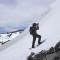 Chile Wild - Las Vertientes