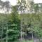 River Vista Retreat - Luxury duplex Apt - Views - Parking - Cycle storage - Spa access option