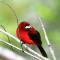 The Valley Tayrona hostel- A social jungle hostel - 埃尔扎伊诺