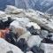 Yosemite Bug Rustic Mountain Resort - Midpines
