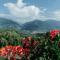 Boutique Hotel PANORAMA Crans-Montana