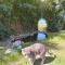 Bed & Breakfast Valtellina