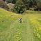 Cosy Country Cottage - Outdoor Pizza Oven - Rural Setting on 4 Acres