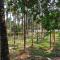 Hegde Farm Stay - Udupi